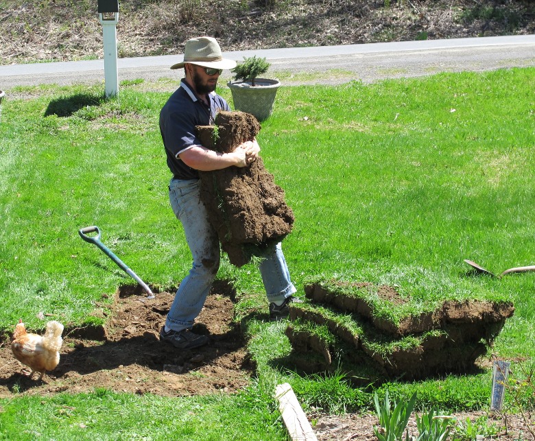 Sod carrying
