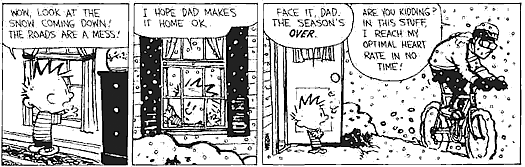 Calvin and Hobbes comic