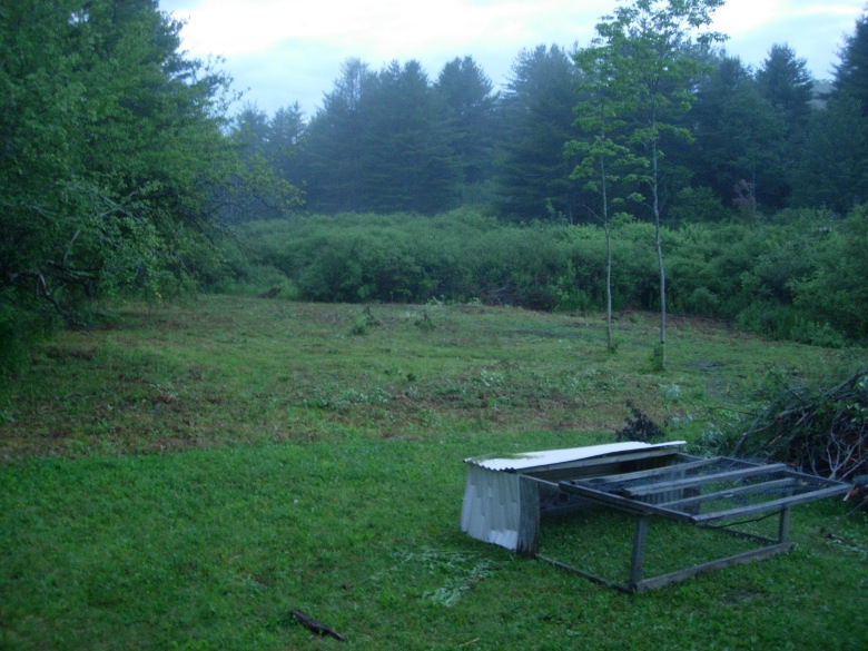 Field at Dusk